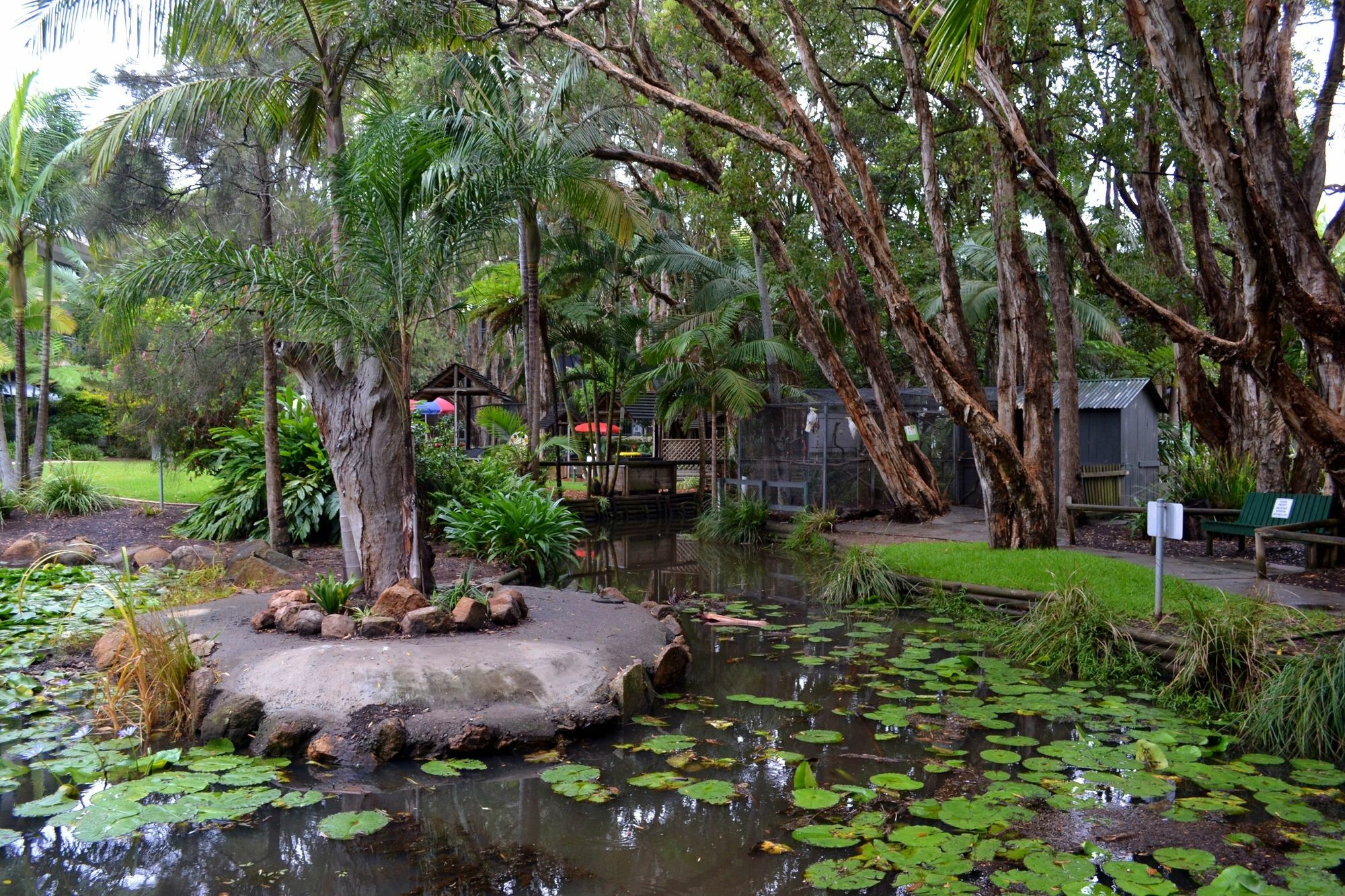 Flynns Beach Resort Port Macquarie Eksteriør billede
